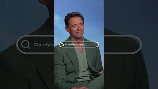 Hugh Jackman answers the internet’s most important questions… about sheep