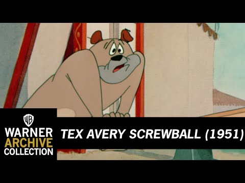 Daredevil Droopy | Tex Avery Screwball | Warner Archive