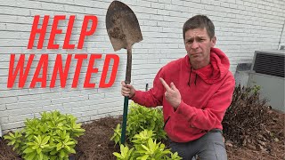 Novice Landscaper Needs YOUR Help on This Project