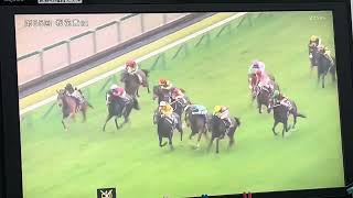 【フリーター競馬実況】2025 桜花賞 エンブロイダリー（J.モレイラ）
