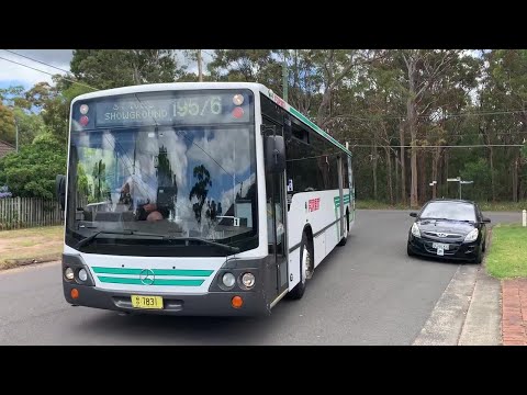 2190ST Transport Vlog 385: [Forest] Nice ZF on Mercedes O405 Custom Coaches CB50 (7831 195/196)