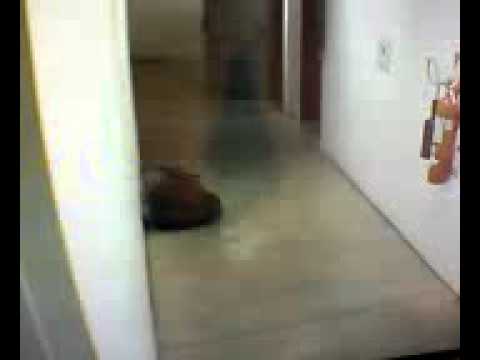 Fantasma Hospital Italiano de Buenos Aires / Ghost at the Hospital