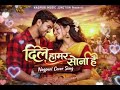 Dil Hamar Sona Hay Nagpuri Cover Song 2026 Nagpuri Video 2026 Ai Song Romariyobtopno