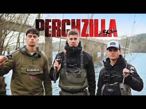 PERCHZILLA EXISTS! The Hunt for the Biggest Perch in the World!