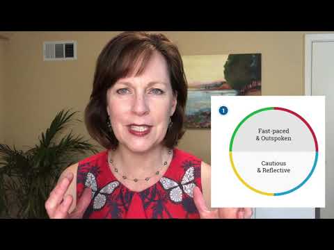 Get Curious with Kirsten #13 - "Understanding the Different Styles on Your Team"