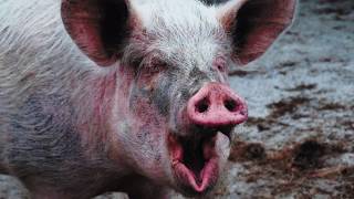 THE LAST EMPEROR &amp; HAAK FILMORE &quot;RUN IT&quot; VIDEO