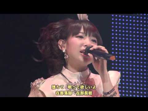 fortissimo-from insanity affection