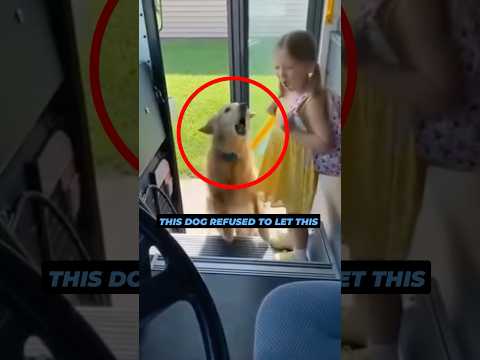 This dog refused to let this girl off the school bus