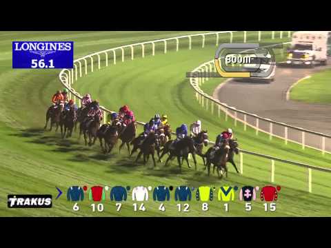 05.02.2015 Meydan (Dubai/UAE) 7.Race Cepsa Mile - Handicap 1.600 m