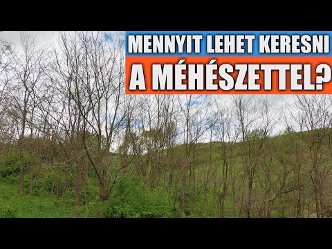 , title : 'Mennyit lehet keresni a méhészettel?'