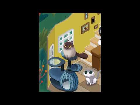 Cozy Cats Video