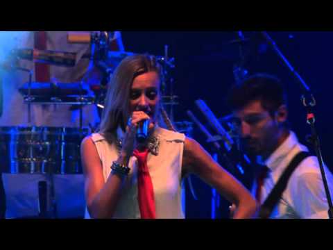 FESTIVAL DEL YCUA 2016 - Agapornis