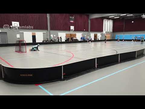 Alueliigan peli 08 synt. Luve - Karhut