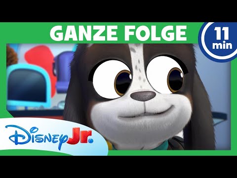 Willkommen in der Pfoten-Kita GANZE FOLGE 1 | Welpen Freunde