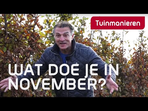 Wat doe je in de tuin in november? Snoeien? Maaien? Tuinieren in de herfst.