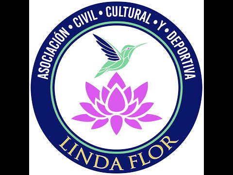 Samba enredo de Linda Flor 2025