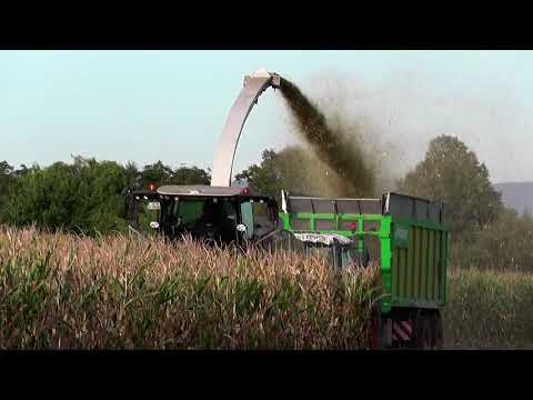 Maishäckseln 2020 mit nochmal Claas Jaguar 970 u. Kemper Champion 375 Plus
