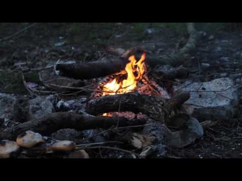 DrebenG Feat.Shami - Pozitive vibration