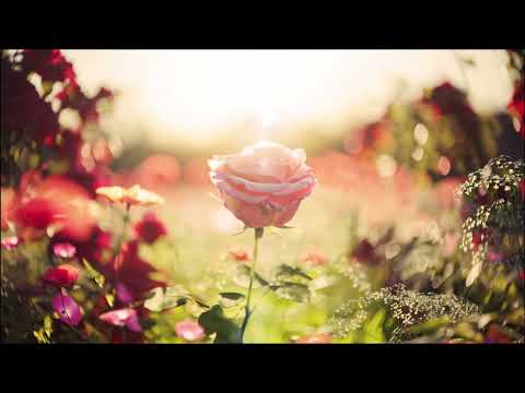 EliteMusic - To The Moon And Back (Emotional Orchestral Music) (Official Audio)