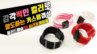 몬스타 블러드 베슬 30 슬리빙 케이블 (애쉬핑크, 0.3m)_동영상_이미지