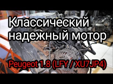 Надежный француз с мокрыми гильзами. Веселая разборка классического двигателя (LFY / XU7JP4)