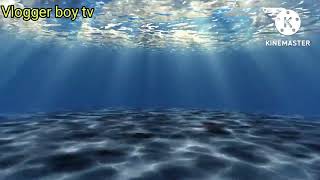 Download lagu How Come - Sang Min Chu @vloggerboytv mp3 Download lagu How Come - Sang Min Chu @vloggerboytv mp3