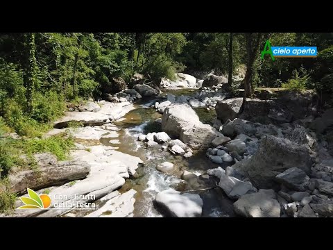 Puntata del 29/8/21 –  3° parte – Il nuovo ponte sul Rio Fellicarolo