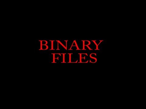 Part 79 C Programming Tutorial Binary Files