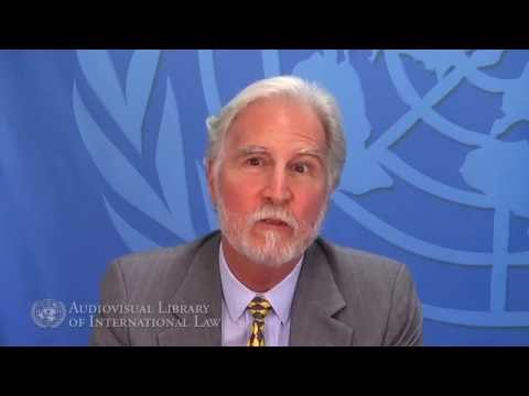 Hurst Hannum on the International Law of Self-Determination