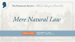 Click to play: Mere Natural Law