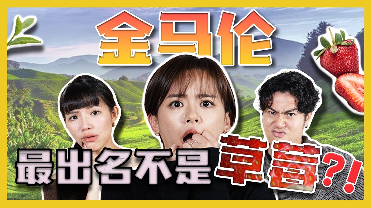 金马仑要建主题乐园？？ Cameron Highlands will build Theme Park ?? C.I.A #52 #问罢了