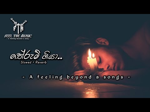 තේරුම් ගියා | Therum Giya ( Slowed + Reverb )
