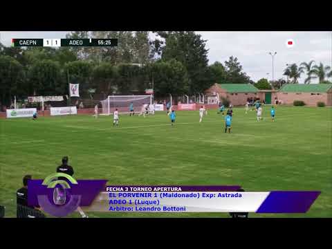 RESUMEN EL PORVENIR 1 ADEO 1