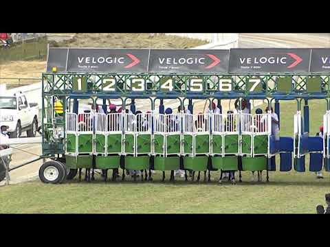 RM26 R3 | Bold Phoenix | J.Allyhosain