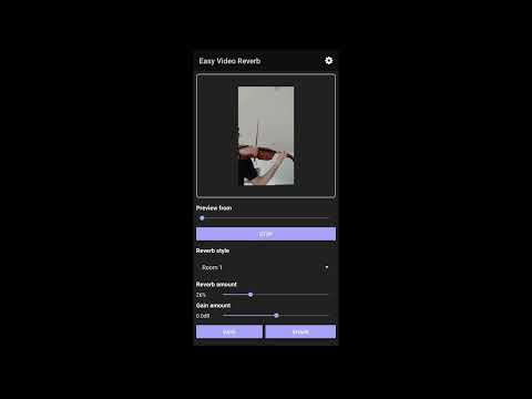 Easy Video Reverb