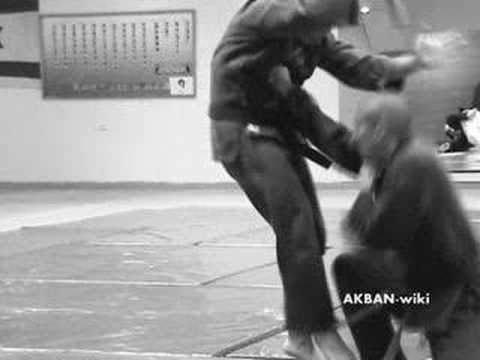 Saki ryoku no kata, Koto ryu