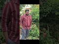 Ssmb29 New Song Maheshbabu Ssmb29newsong Ssrajamouli Keeravani