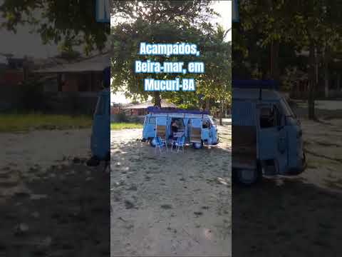 Beira-mar. Acampados. Mucuri-BA. #mar #praiasdonordeste #kombihome #pets #camping #viagem #bahia