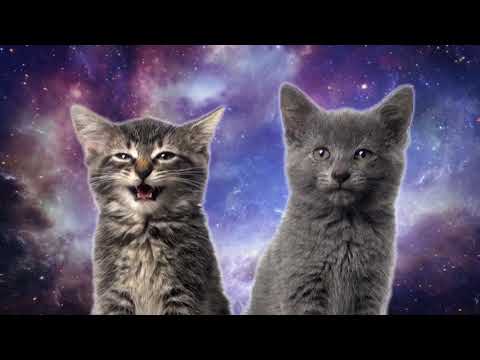 Space Cats — Magic Fly |  Космические котята 2020