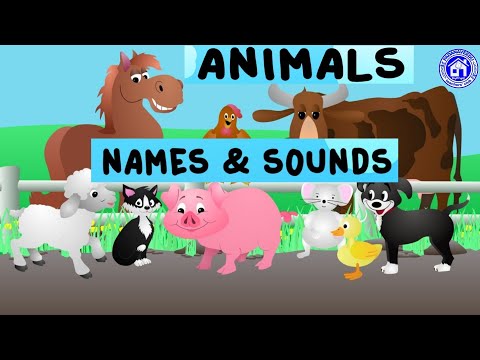 ANIMALS AND THEIR  SOUNDS##MUFEEDA.C.P#sastha alps puduppally