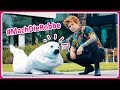 Julien Bam Do The Seal Feat The Seal Official Music Video