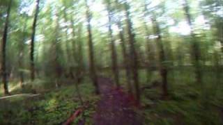 preview picture of video 'trail ride yfz450 deep creek lake md'
