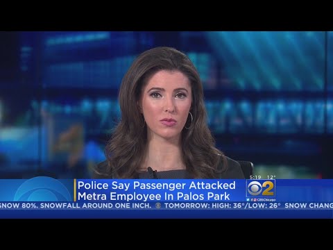 Metra Employee Attacked