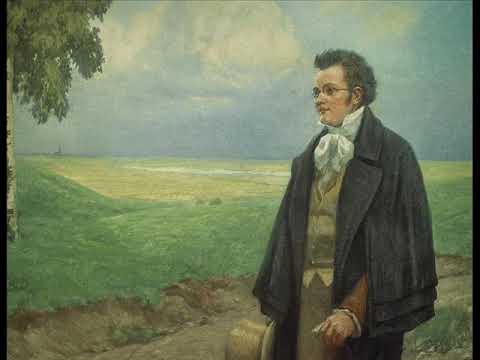 FRANZ SCHUBERT - LEBEWOHL (ADIEU) D 578 (Transcription Francis Thomé) - PHILIPPE COULANGE, piano