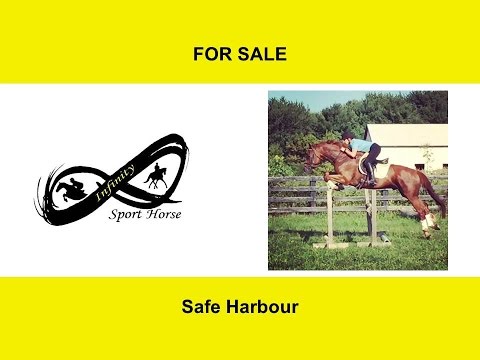 Safe Harbour - September 1, 2016 Flat School