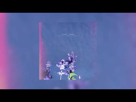 Avi Snow, LVAN & Sif Saga - What I Need