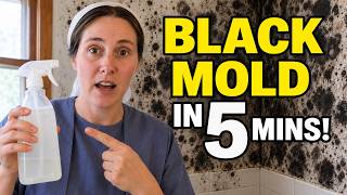 Black Mold: Remove Surface Mold in Under 5 Minutes!