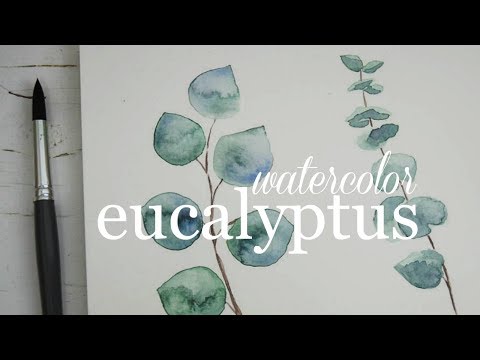 download lagu mp3 mp4 Eucalyptus Paint Color, download lagu Eucalyptus Paint Color gratis, unduh video klip Eucalyptus Paint Color