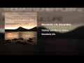 Wonderful Life (Vocal Mix) 