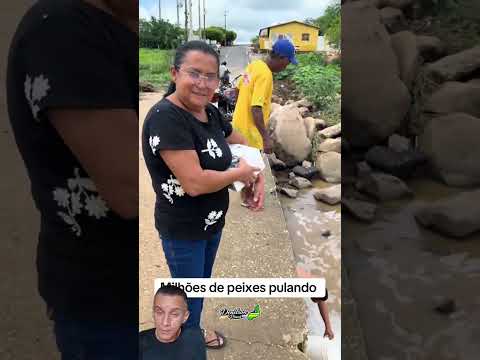 Pescaria de curimata